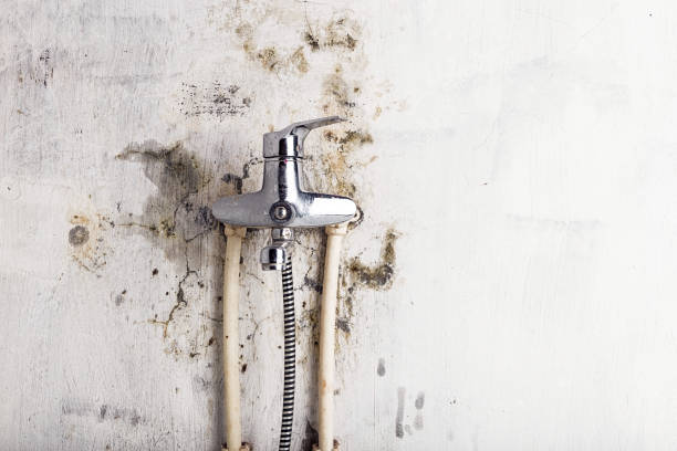 Best Mold Remediation for Schools in Rock Hill, NY