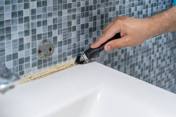 Best Preventive Mold Services in Rock Hill, NY